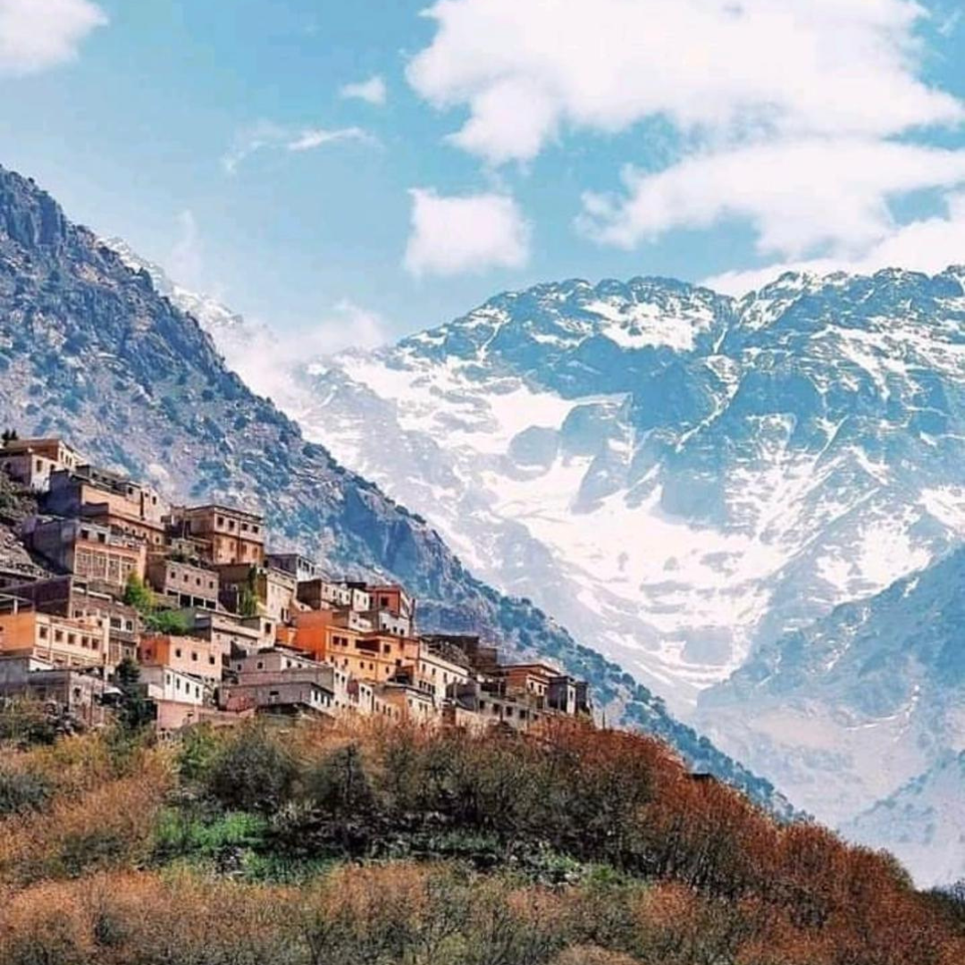 Ourika Valley Argan cooperative - Traditional oil production