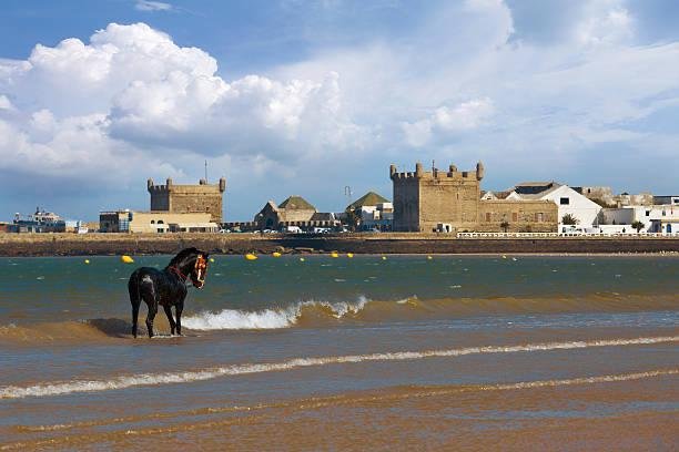 Essaouira market - Local souk and shopping