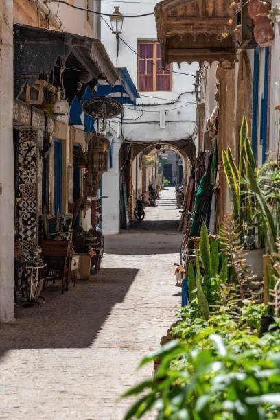 Essaouira beach - Long sandy Atlantic coastline