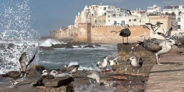 Essaouira thuya wood crafts - Local artisan workshops