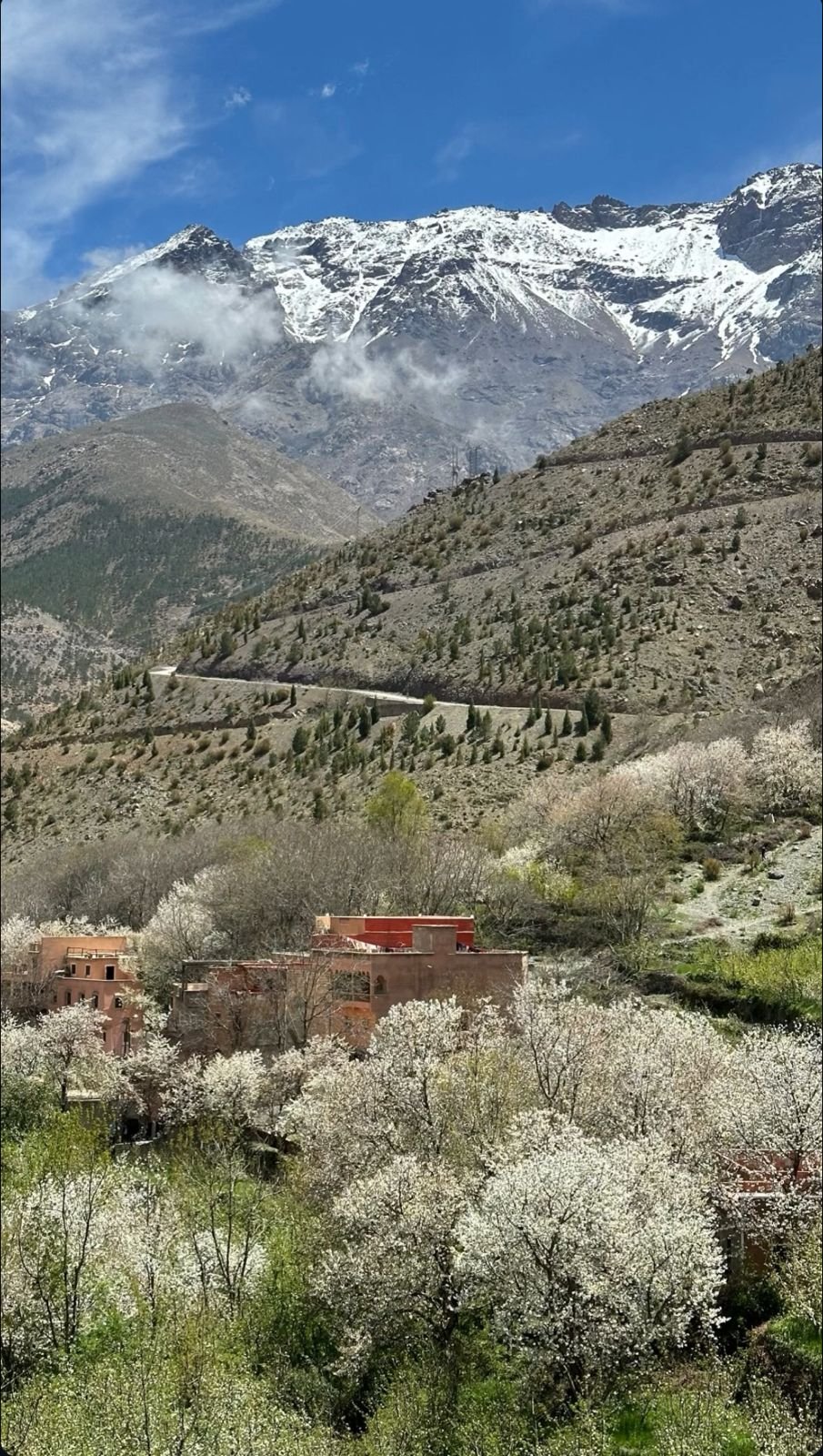 Traditional Moroccan architecture