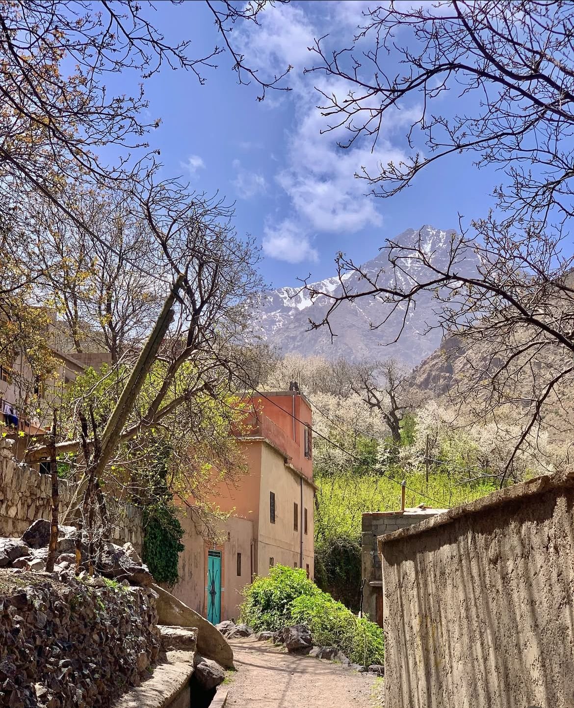 Moroccan cultural experience